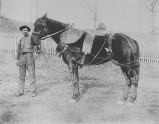 Donohoe (voornaam onbekend) en zijn paard